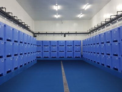 1 BINS BIG BINS ok