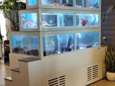 1-acquario-per-ristorante-a-3-piani