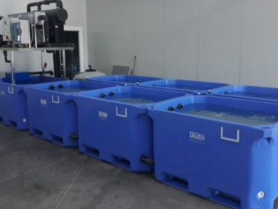 11-bins-minor-