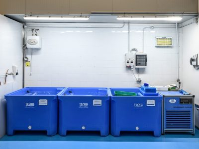 12 Impianto stoccaggio crostacei