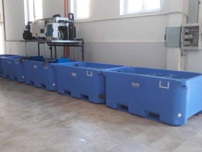 15 - impianto depurazione mitili