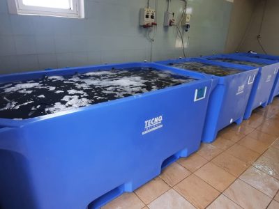 16b impianto depurazione ostriche