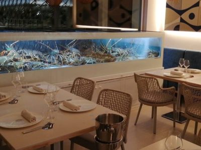 19-Acquario-aragoste-per-ristorante