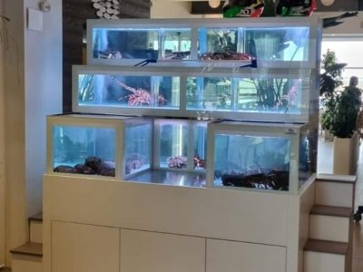 2-acquario-ristorante