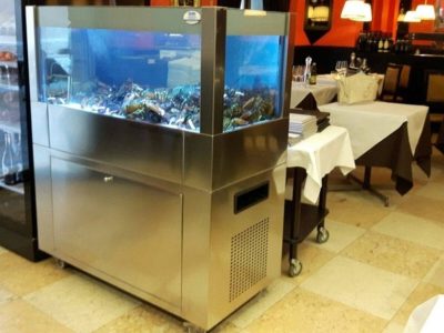 21-acquario-per-crostacei-modello-Laguna-2