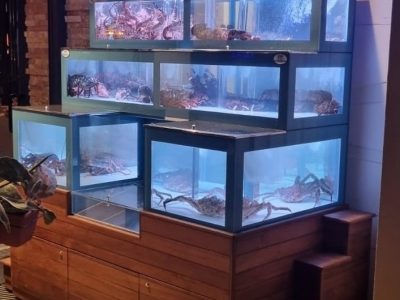3-Pescado-crostacei