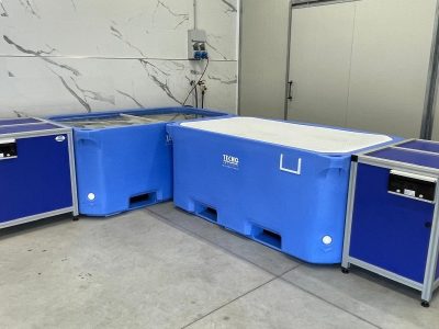 4 Impianto per anguille + impianto per crostacei
