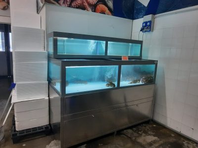 8 acquario crostacei per cash e carry