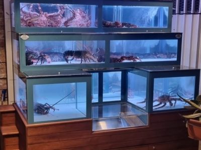 Acquario per crostacei