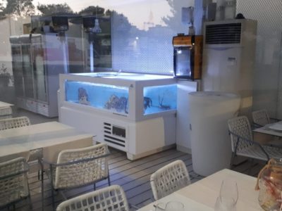 Tritone per ristorante