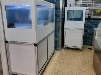 acquari per pescheria