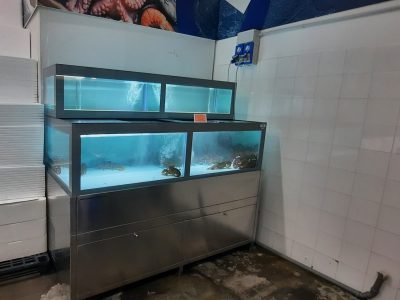 vasca crostacei doppia temperatura